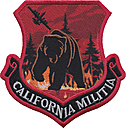 0196_attack_squadron-california_militia-01.jpg