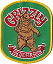 0196_tactical_fighter_squadron-grizzly-01.jpg