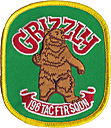 0196_tactical_fighter_squadron-grizzly-03.jpg