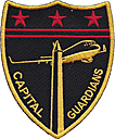 0201_airlift_squadron-capital_guardians_c40-01.jpg