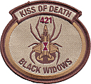 0421_expeditionary_fighter_squadron-SPARTAN_SHIELD_2023-heritage_kiss_of_death-f35-desert-01.jpg