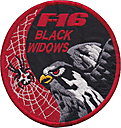 0421_fighter_squadron-f16_black_widows-01.jpg