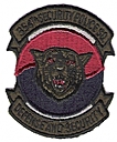 354th_Security_Police_Squadron.jpg