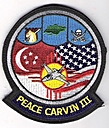 428th_FS_PEACE_CARVIN_III.jpg