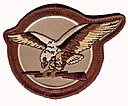 178th_Fighter_Squadron_(desert).jpg