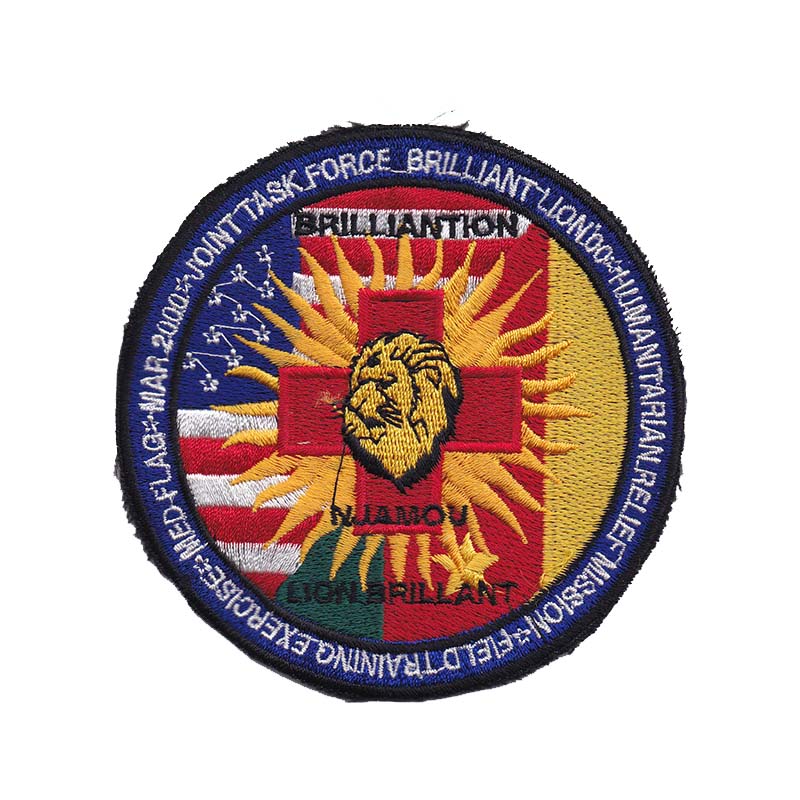 Joint Task Force Brilliant Lion