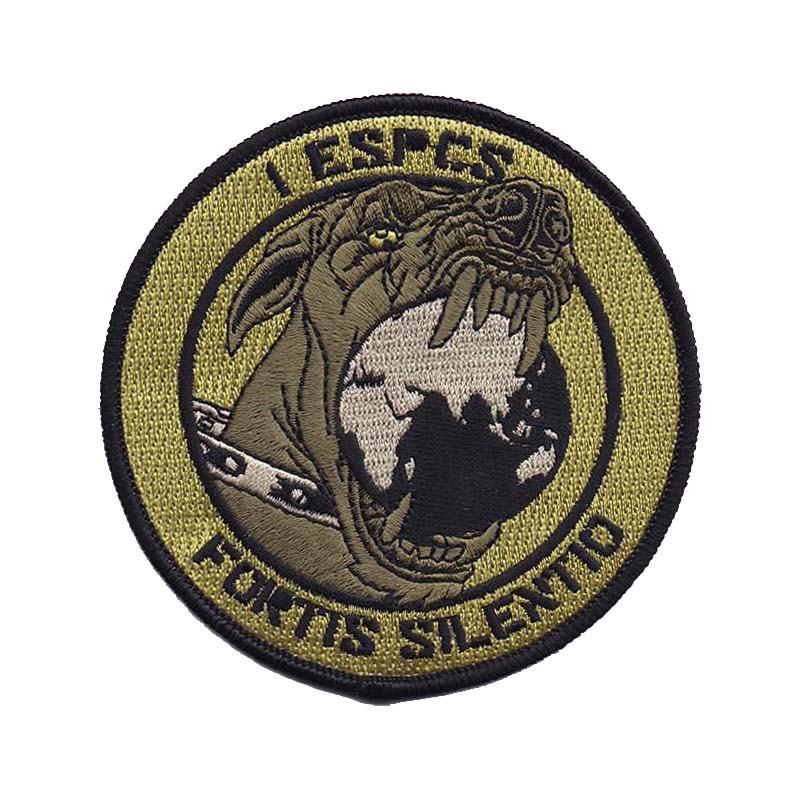 0001st Expeditionary Space Control Squadron Morale (Version 1, Fully Embroidered) [Subdued]