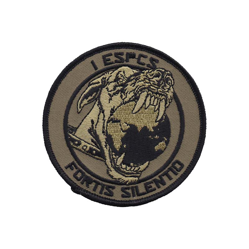 0001st Expeditionary Space Control Squadron Morale (Version 2, Twill) [Subdued]