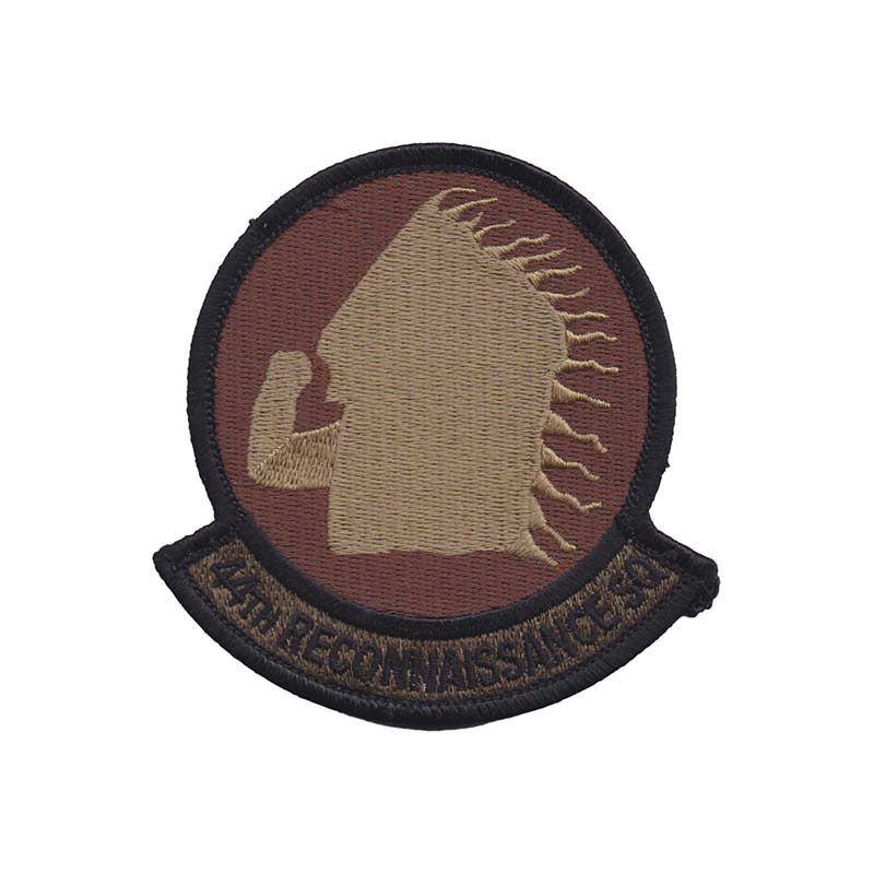 0044th Reconnaissance Squadron [OCP]