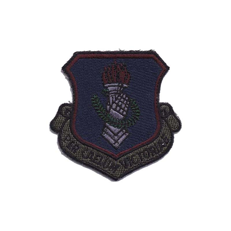 0108th Wing [Subdued on VELCRO]
