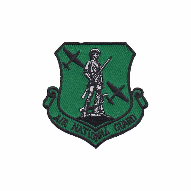 0156th Airlift Squadron Air National Guard P-51