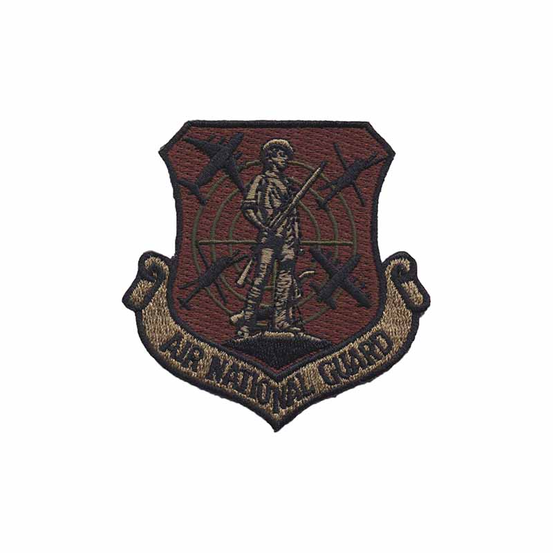 0176th Wing Air National Guard [VELCRO]
