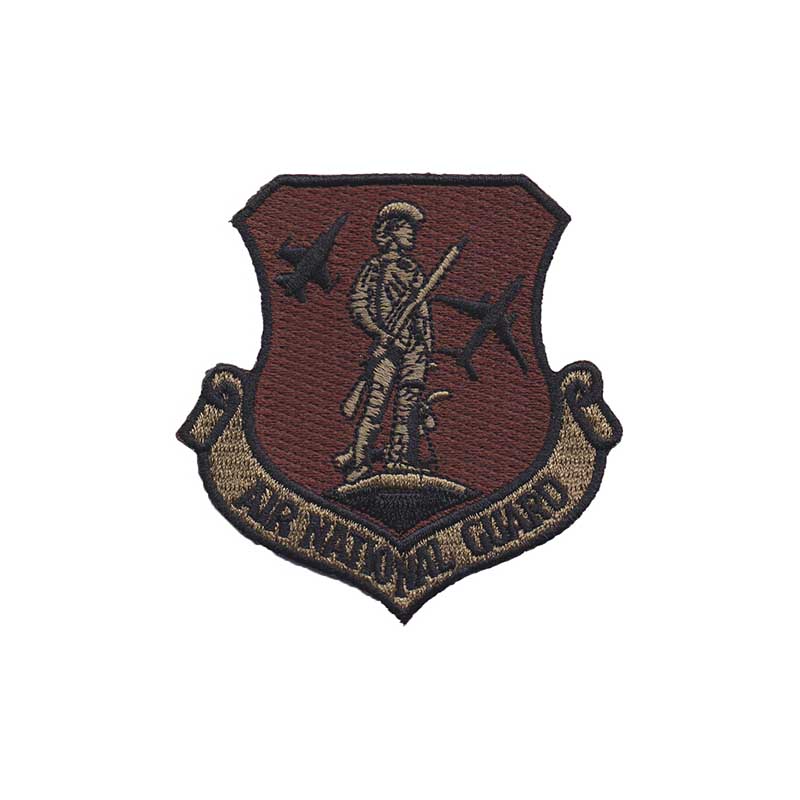 0201st Airlift Squadron Air National Guard F-16/C-40 [OCP]