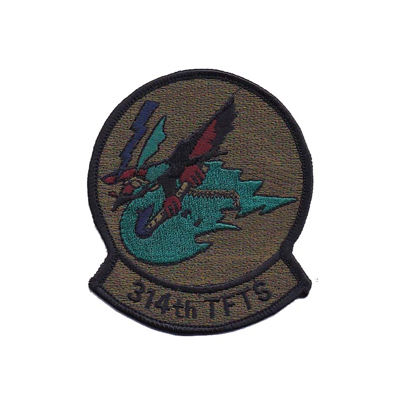 0314th Tactical Fighter Training Squadron [Subdued]