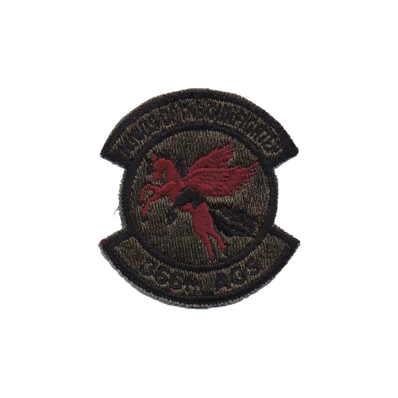 0366th Aircraft Generation Squadron [Subdued]