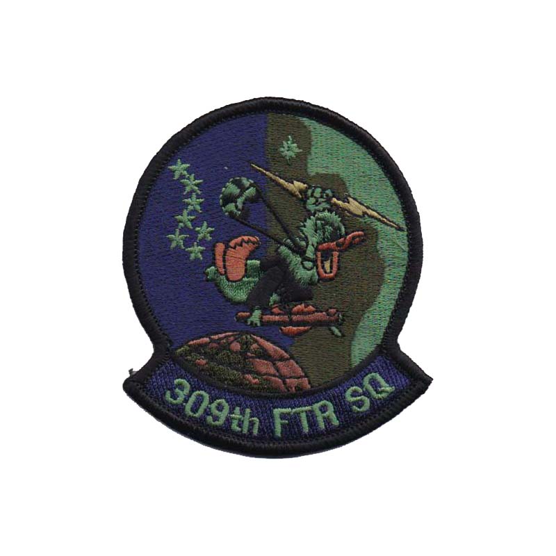 0309th Fighter Squadron [Subdued]