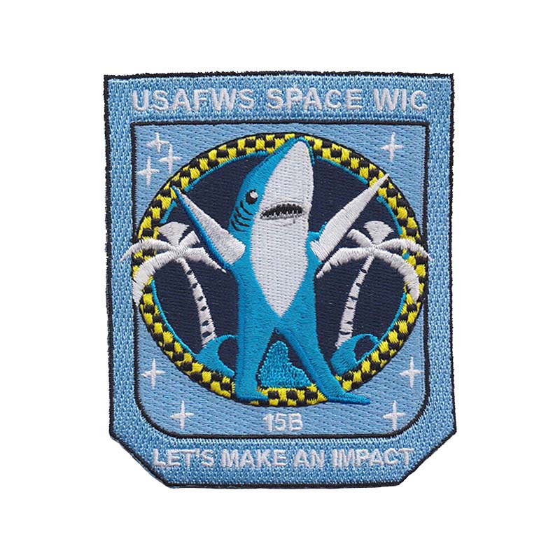 USAF Weapons School Space WIC Class 2015B