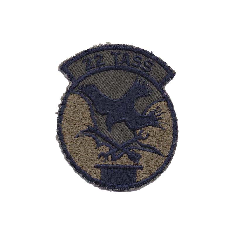0022nd Tactical Air Support Squadron [Subdued, Used]