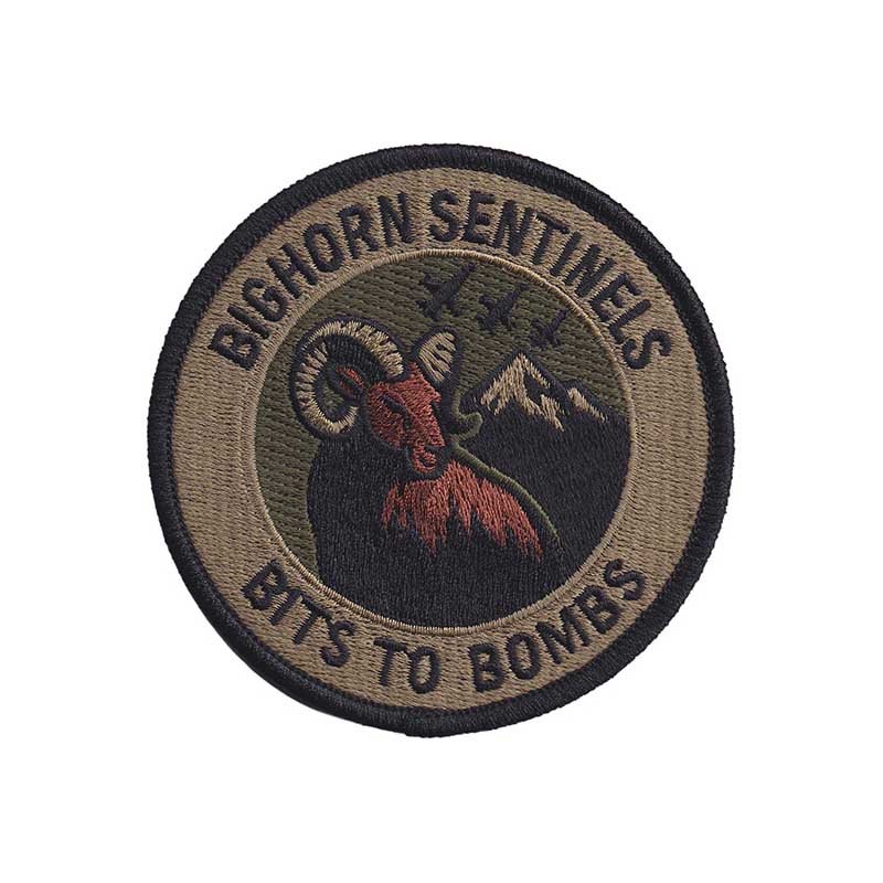 0140th Communications Squadron Bighorn Sentinels [OCP]